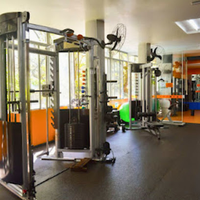 Sports Gym Academia
