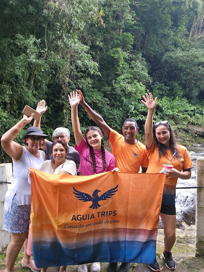 Águia Trips