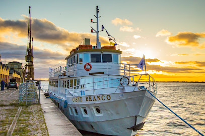 Barco Cisne Branco