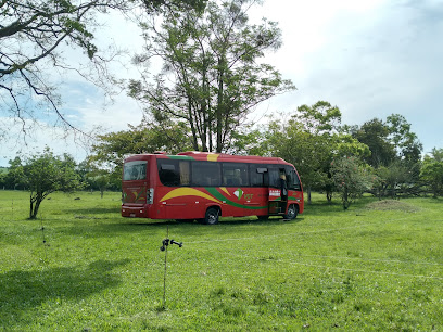 Viajando com a Tânia