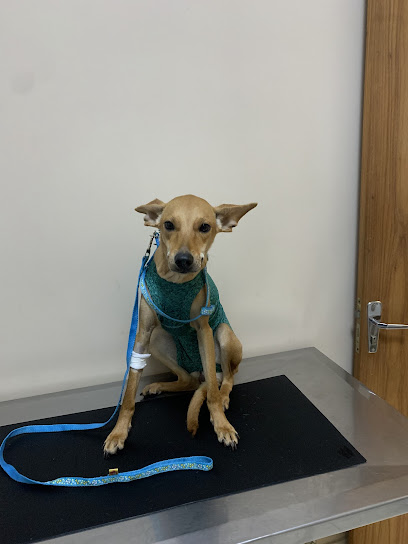 Vet POA - Clínica Veterinária-Odonto Veterinária