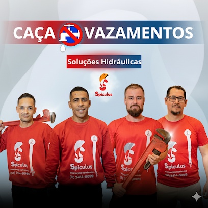 Spiculus Manutenções